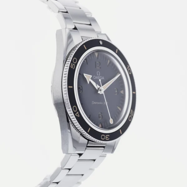 Omega Seamaster 300 234.30.41.21.01.001 Seamaster Steel