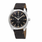 Omega Railmaster Black