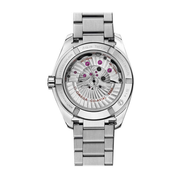 Omega Aqua Terra