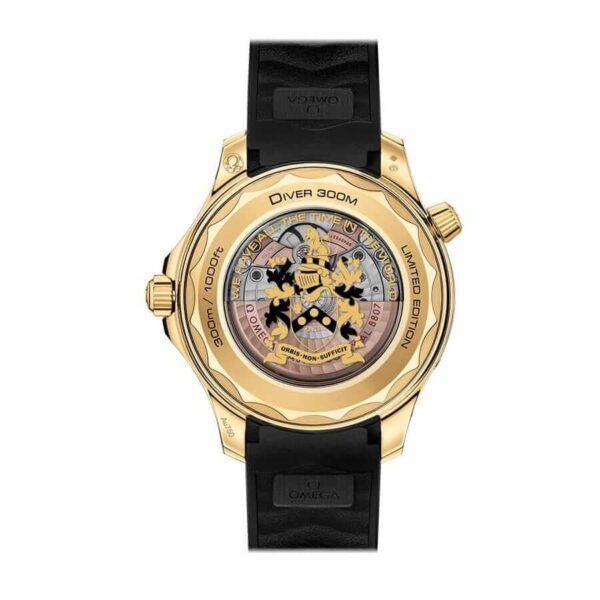 Omega Dive Watch