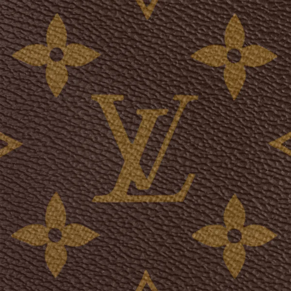 LOUIS VUITTON SIDE TRUNK Side Trunk MM Detachable and Adjustable Shoulder Strap Soft Case Canvas Crossbody Bag for Women Monogram