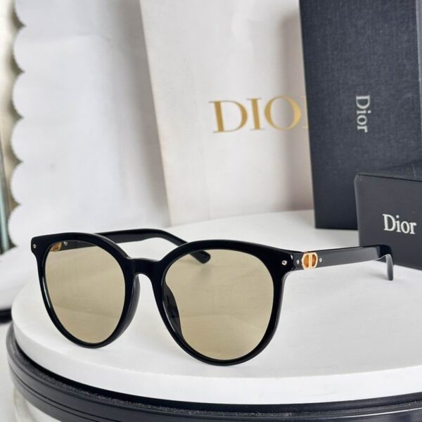 Dior Classic Round Frame Sunglasses – Gradient Lens Edition
