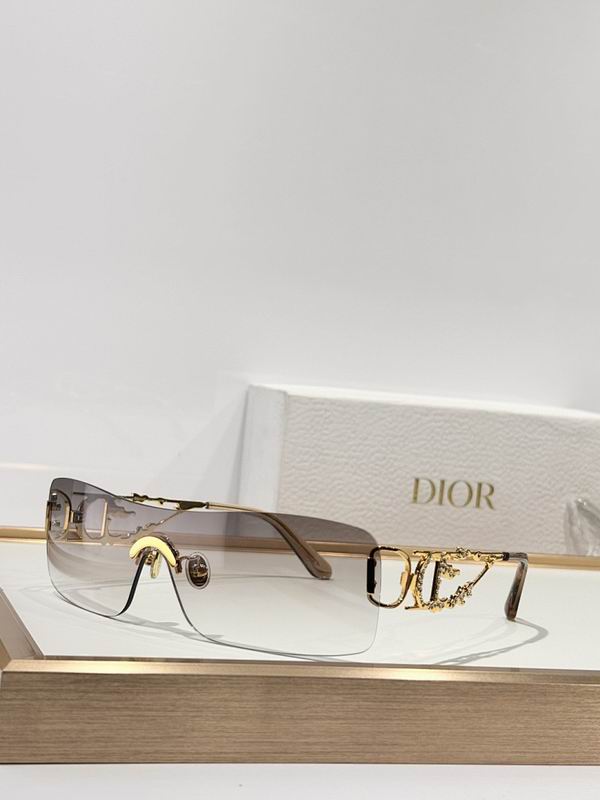 Dior Crystal CD Shield Sunglasses – Luxury Statement Edition