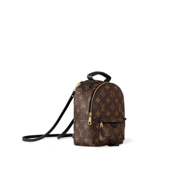 LOUIS VUITTON Palm Springs Classic Monogram Coated Canvas with Leather Trim Backpack, Mini, Women's, Brown