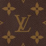 LOUIS VUITTON Speedy 35 Detachable and Adjustable Shoulder Strap Monogram-Printed Canvas Crossbody Handbag for Women, Brown