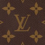 LOUIS VUITTON Speedy 25 Detachable and Adjustable Shoulder Strap Monogram-Printed Canvas Crossbody Handbag for Women, Brown