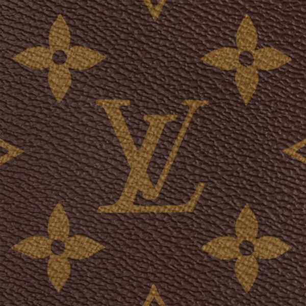 LOUIS VUITTON Speedy 25 Detachable and Adjustable Shoulder Strap Monogram-Printed Canvas Crossbody Handbag for Women, Brown