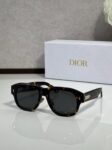 Dior CD Signature Square Sunglasses