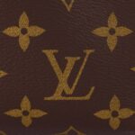 LOUIS VUITTON SIDE TRUNK Side Trunk PM Detachable and Adjustable Shoulder Strap Soft Case Canvas Crossbody Bag for Women Monogram