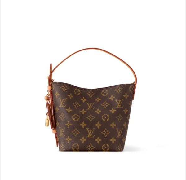 LOUIS VUITTON All In BB Monogram Coated Canvas Detachable Zippered Internal Pocket Shoulder Bag Small Female Brown