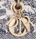 Medium Lady D-Lite Bag