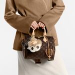 LOUIS VUITTON Speedy 25 Detachable and Adjustable Shoulder Strap Monogram-Printed Canvas Crossbody Handbag for Women, Brown