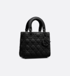 Small Lady Dior My ABCDior Bag