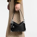 LOUIS VUITTON SIDE TRUNK Side Trunk MM Detachable and Adjustable Shoulder Strap Soft Case Canvas Crossbody Bag for Women, Black with Silver Accents