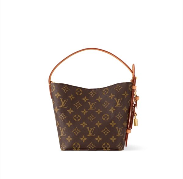LOUIS VUITTON All In BB Monogram Coated Canvas Detachable Zippered Internal Pocket Shoulder Bag Small Female Brown