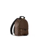 LOUIS VUITTON Palm Springs MM Monogram Print Leather Backpack, Medium, Women's, Brown