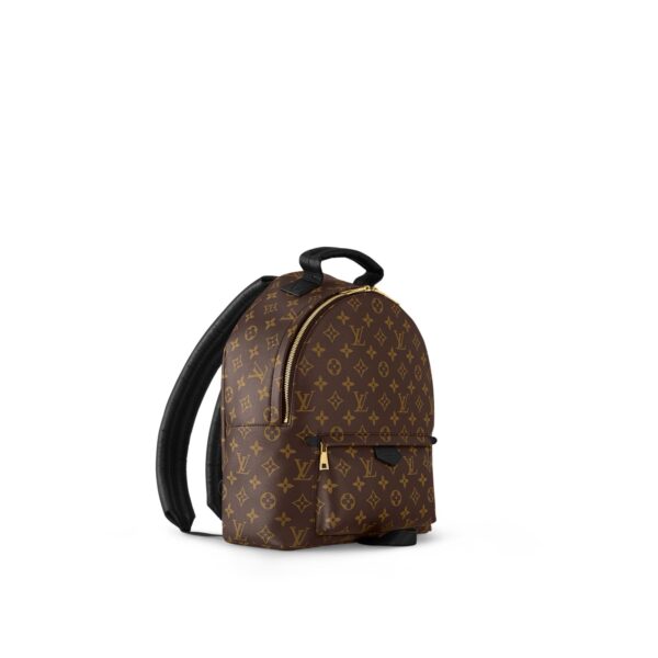 LOUIS VUITTON Palm Springs MM Monogram Print Leather Backpack, Medium, Women's, Brown