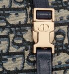 Medium DiorTravel Nomad Pouch