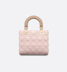 Small Lady Dior My ABCDior Bag