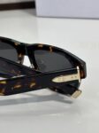 Dior CD Signature Square Sunglasses