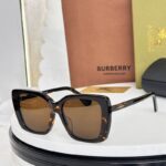 Burberry London Luxury Eyewear - New Season Oversized Acetate Sunnies